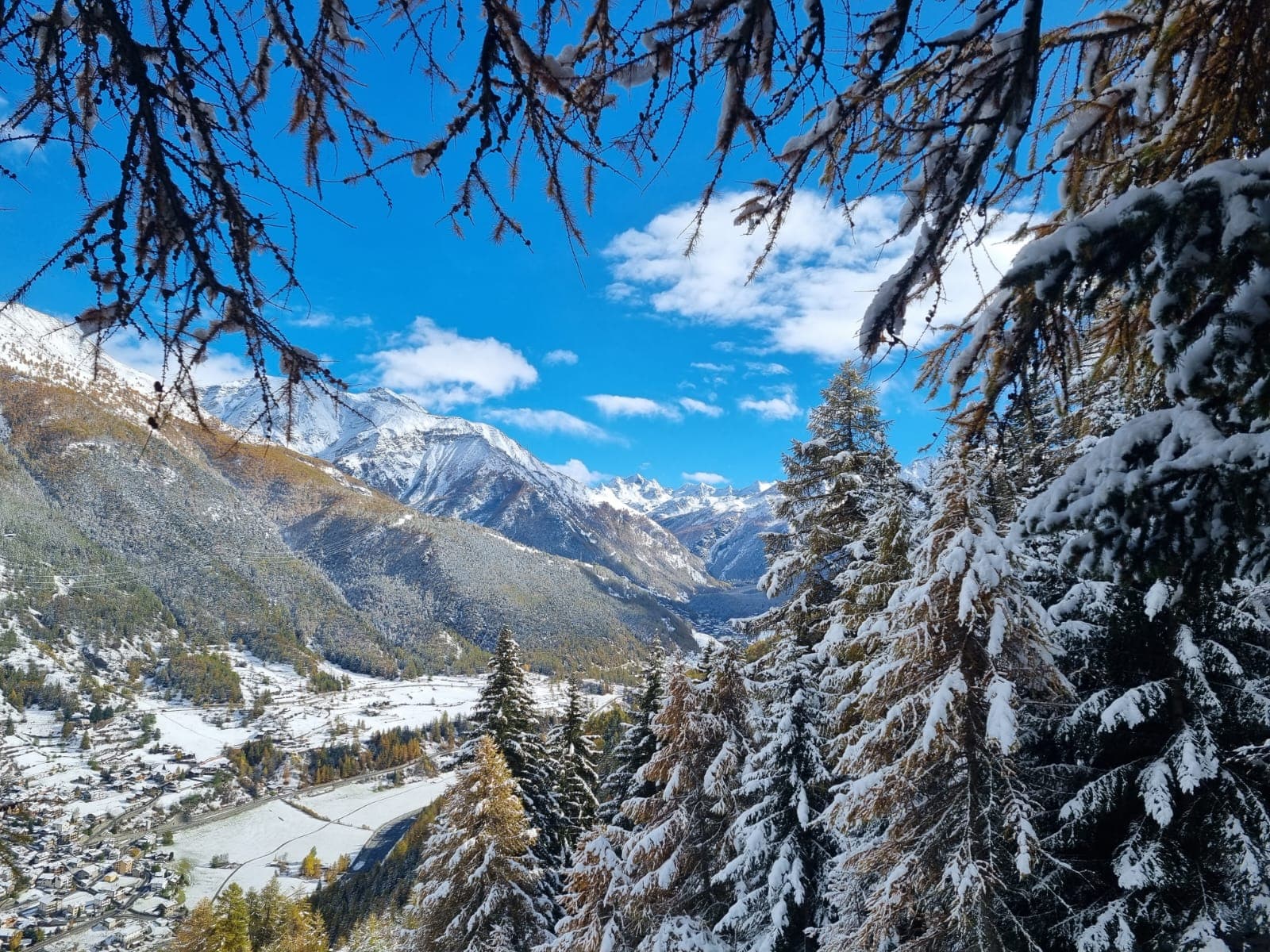 Paysage de montagne enneigé